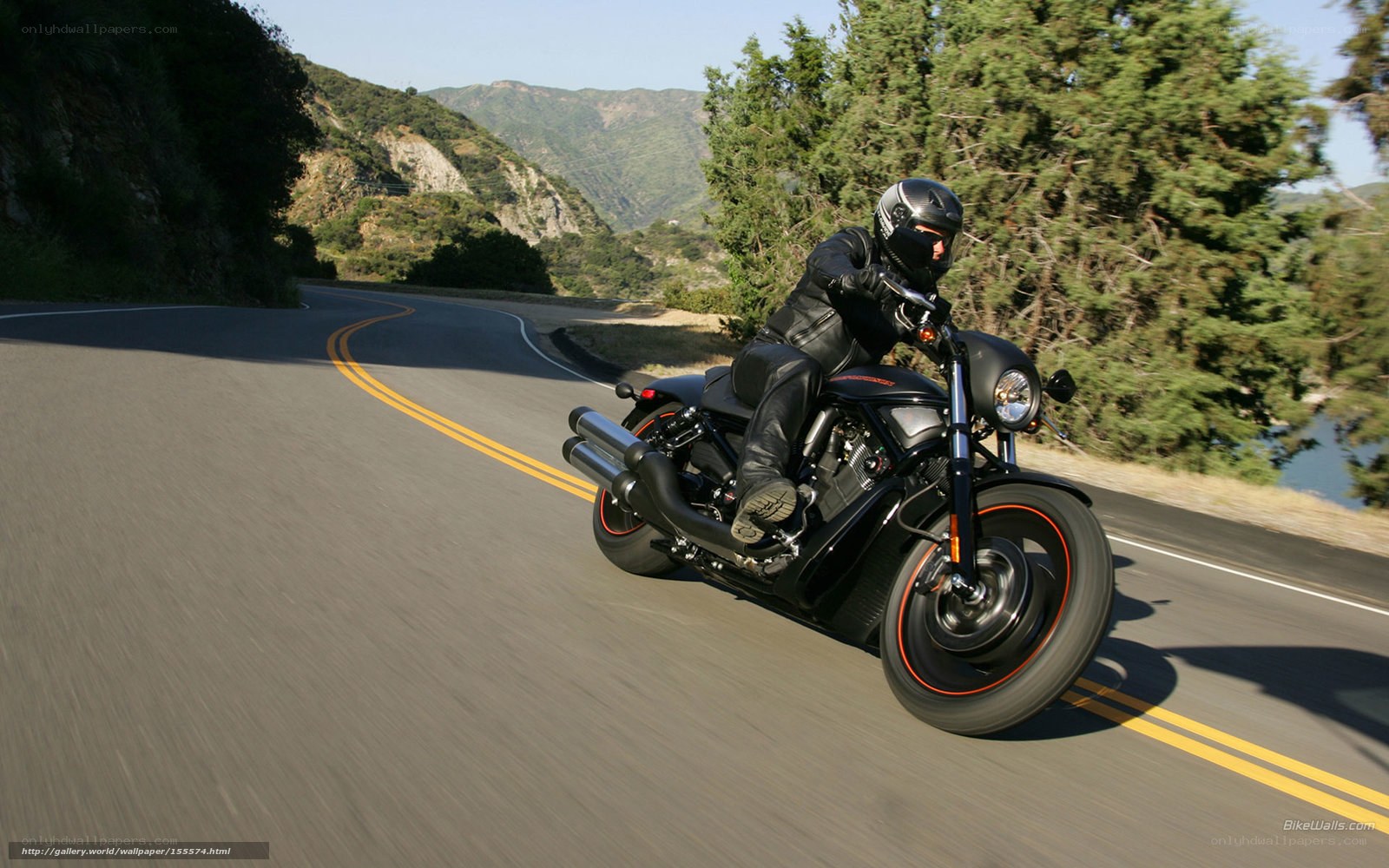 motorcyclist on winding road