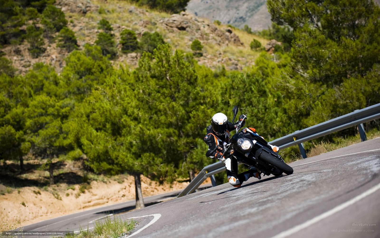 motorcyclist on winding road