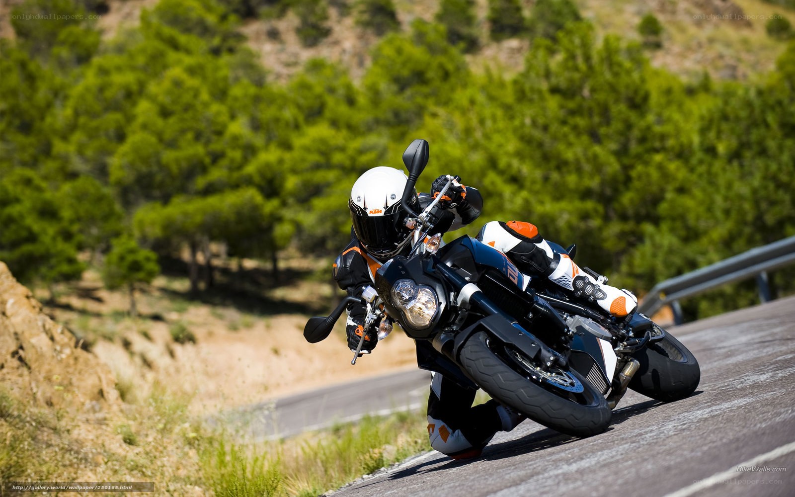 motorcyclist on winding road