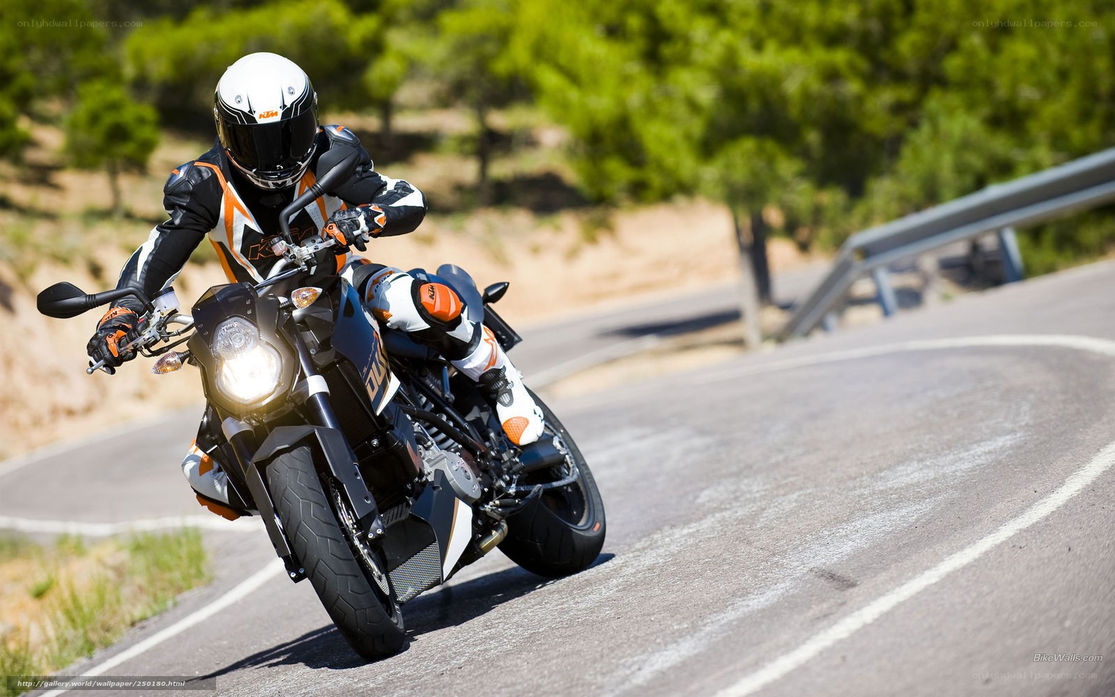 motorcyclist on winding road