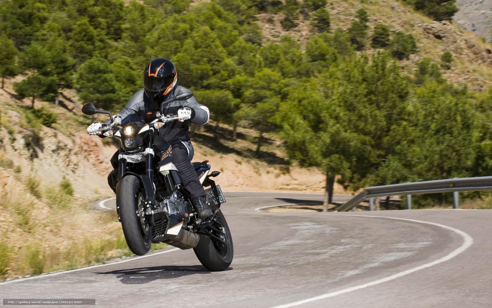 motorcyclist on winding road
