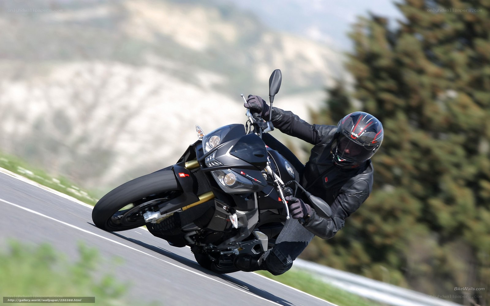 motorcyclist on winding road
