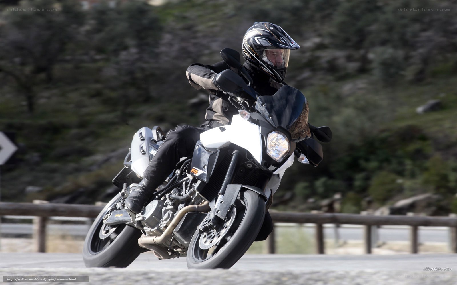 motorcyclist on winding road