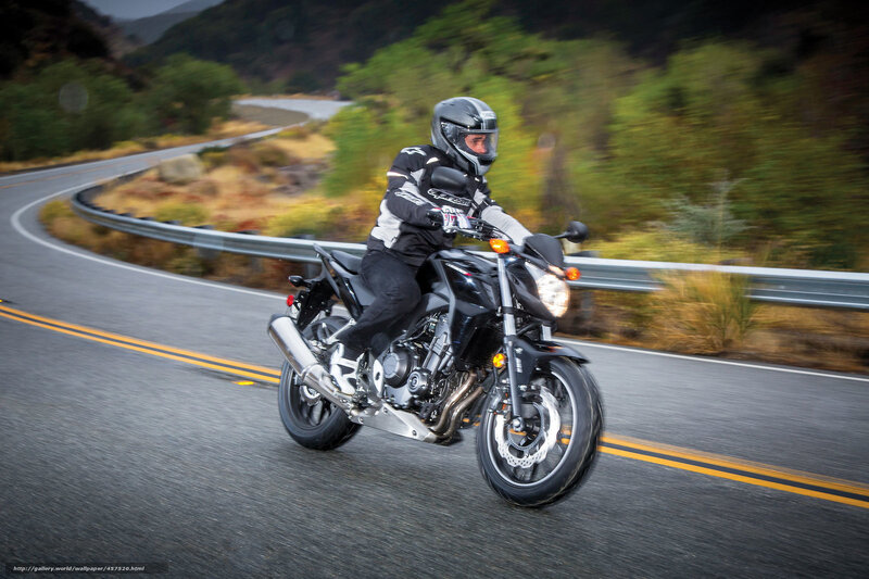 Motorcyclist on Winding Road — Black, Dynamic, Afternoon, Photograph, Guardrail, Trees