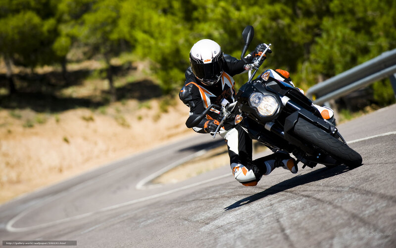 Motorcyclist on Winding Road — Black, Dynamic, Afternoon, Photograph, Trees, Guardrail