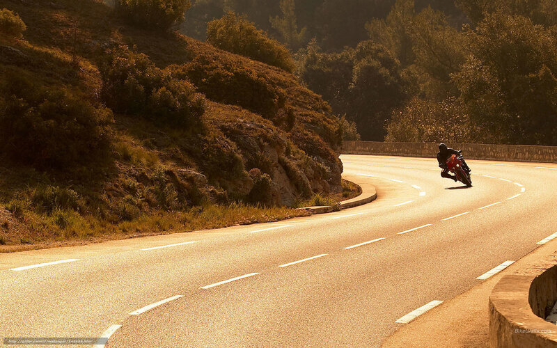 Motorcyclist on Winding Road — Golden