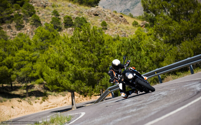 Motorcyclist on Winding Road — Green, Dynamic, Afternoon, Photograph, Trees, Guardrail