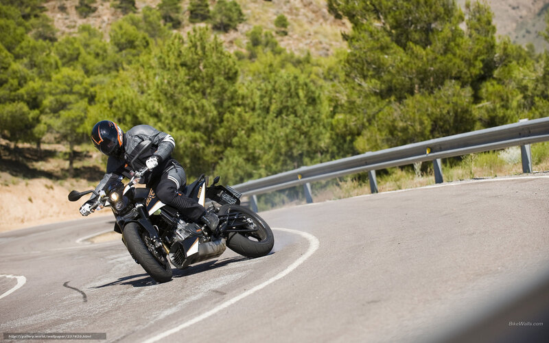 Motorcyclist on Winding Road — Green, Dynamic, Afternoon, Photograph, Trees