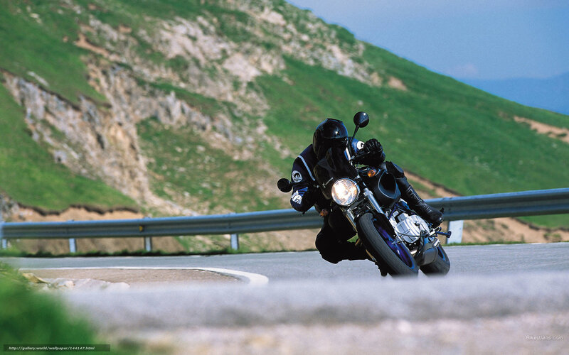 Motorcyclist on Winding Road — Green, Dynamic, Afternoon