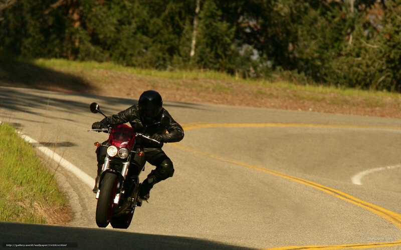 Motorcyclist on Winding Road — Green, Dynamic