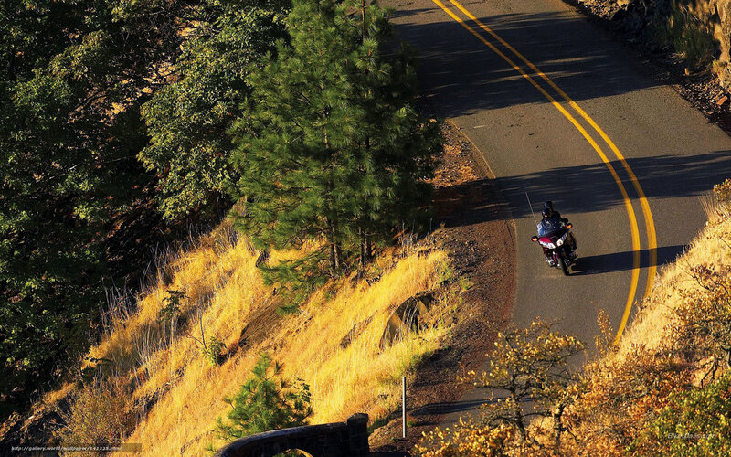 Motorcyclist on Winding Road — Green, Serene