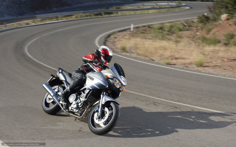 Motorcyclist on Winding Road — Silver, Dynamic, Afternoon