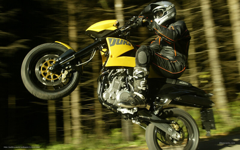 Motorcyclist on Yellow Bike — Dynamic, Afternoon, Photograph, Helmet, Forest
