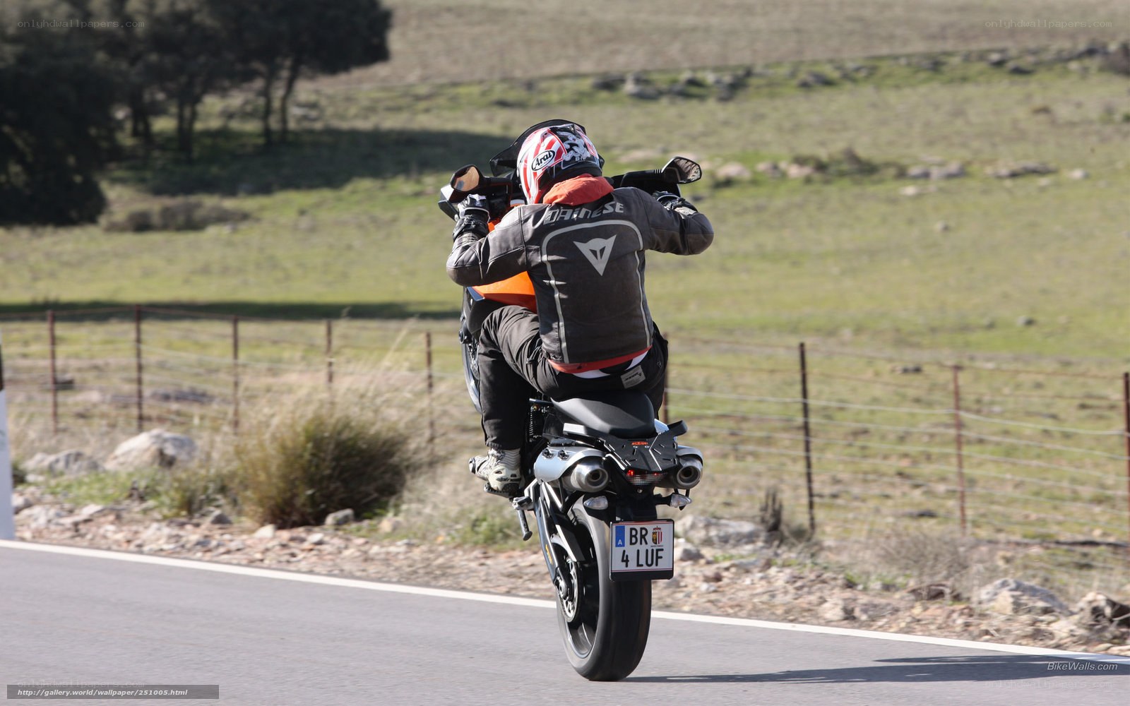 motorcyclist performing wheelie