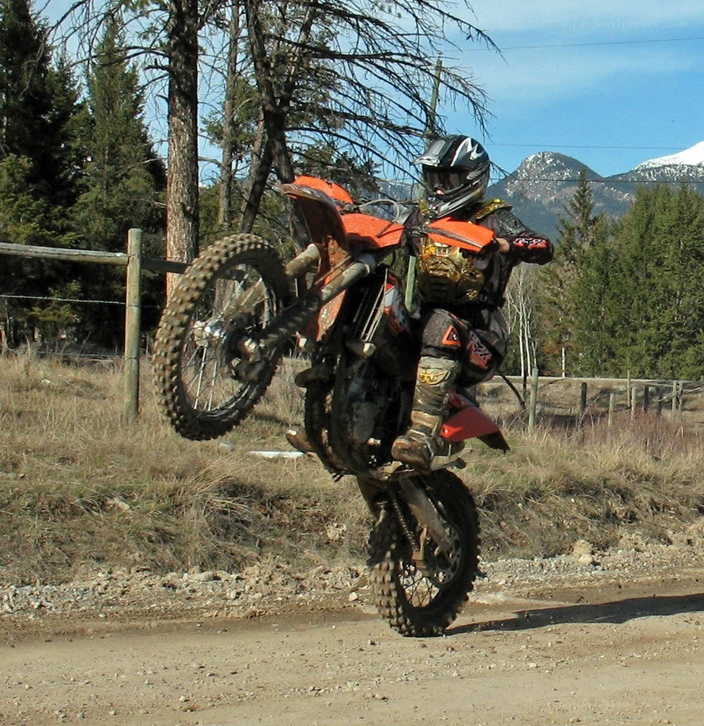 motorcyclist performing wheelie