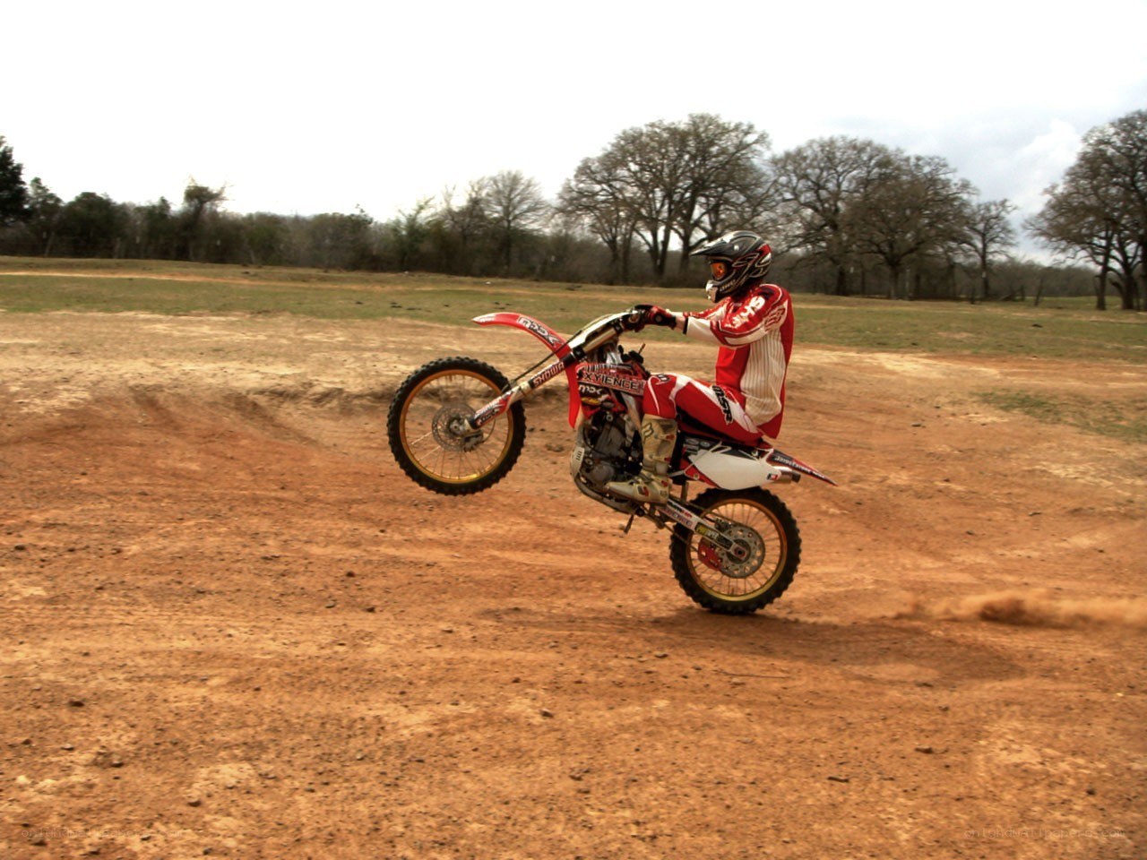 motorcyclist performing wheelie