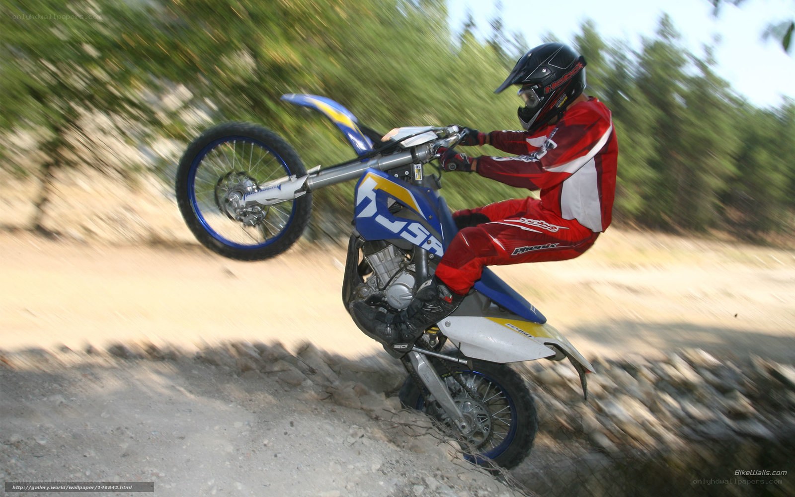 motorcyclist performing wheelie