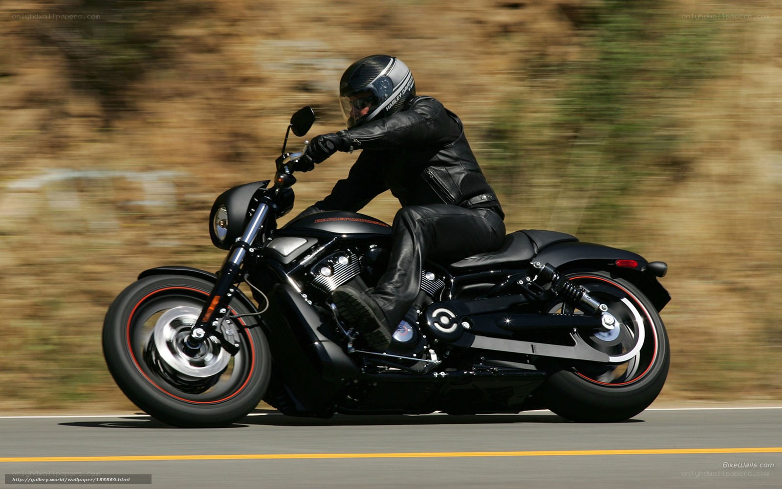 motorcyclist riding black harley
