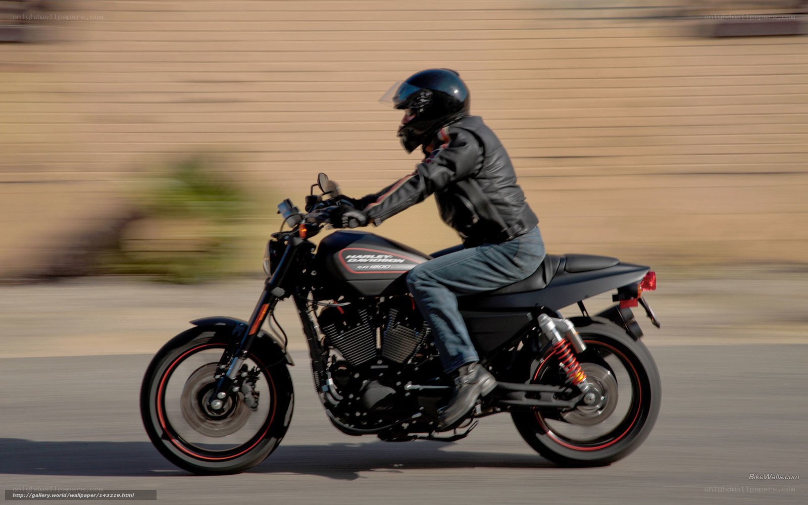 motorcyclist riding harley-davidson