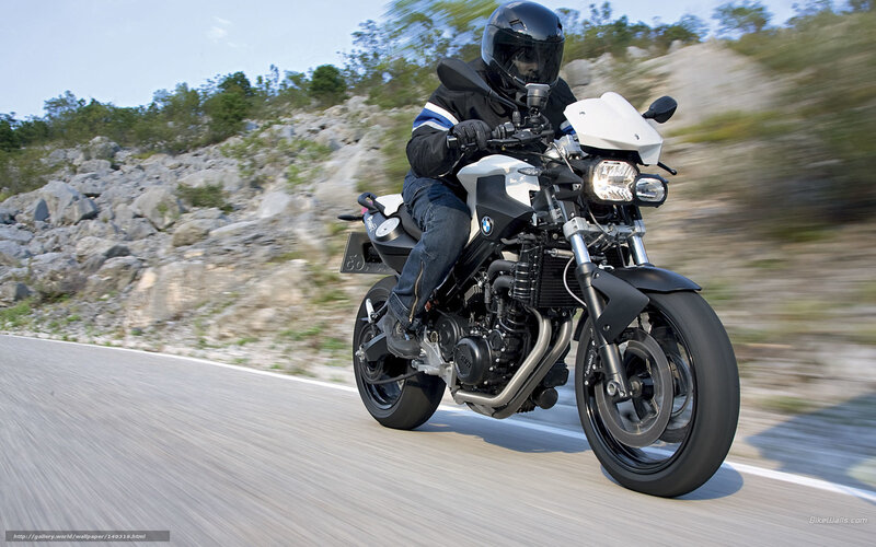 motorcyclist riding on a road