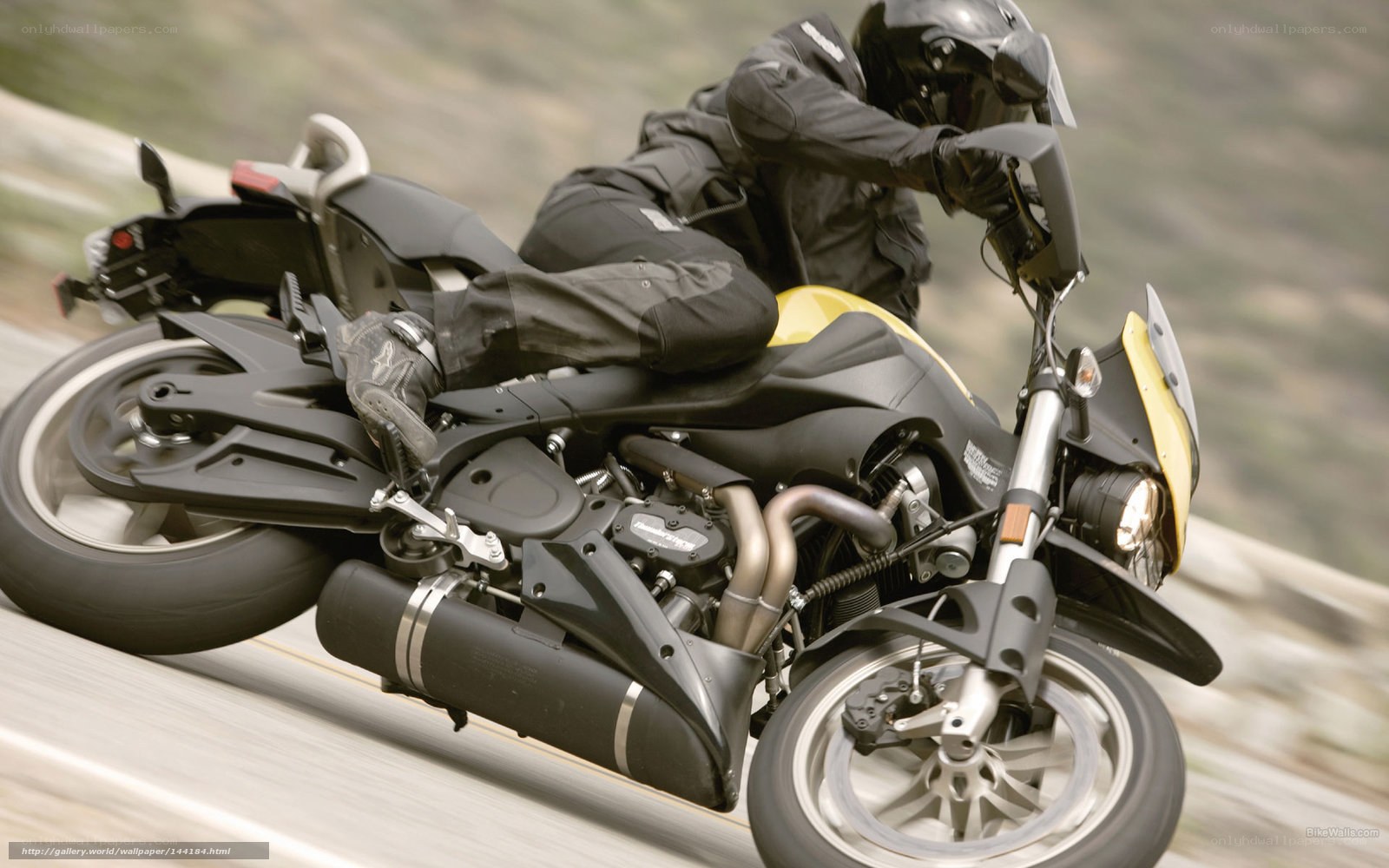 motorcyclist riding on a road