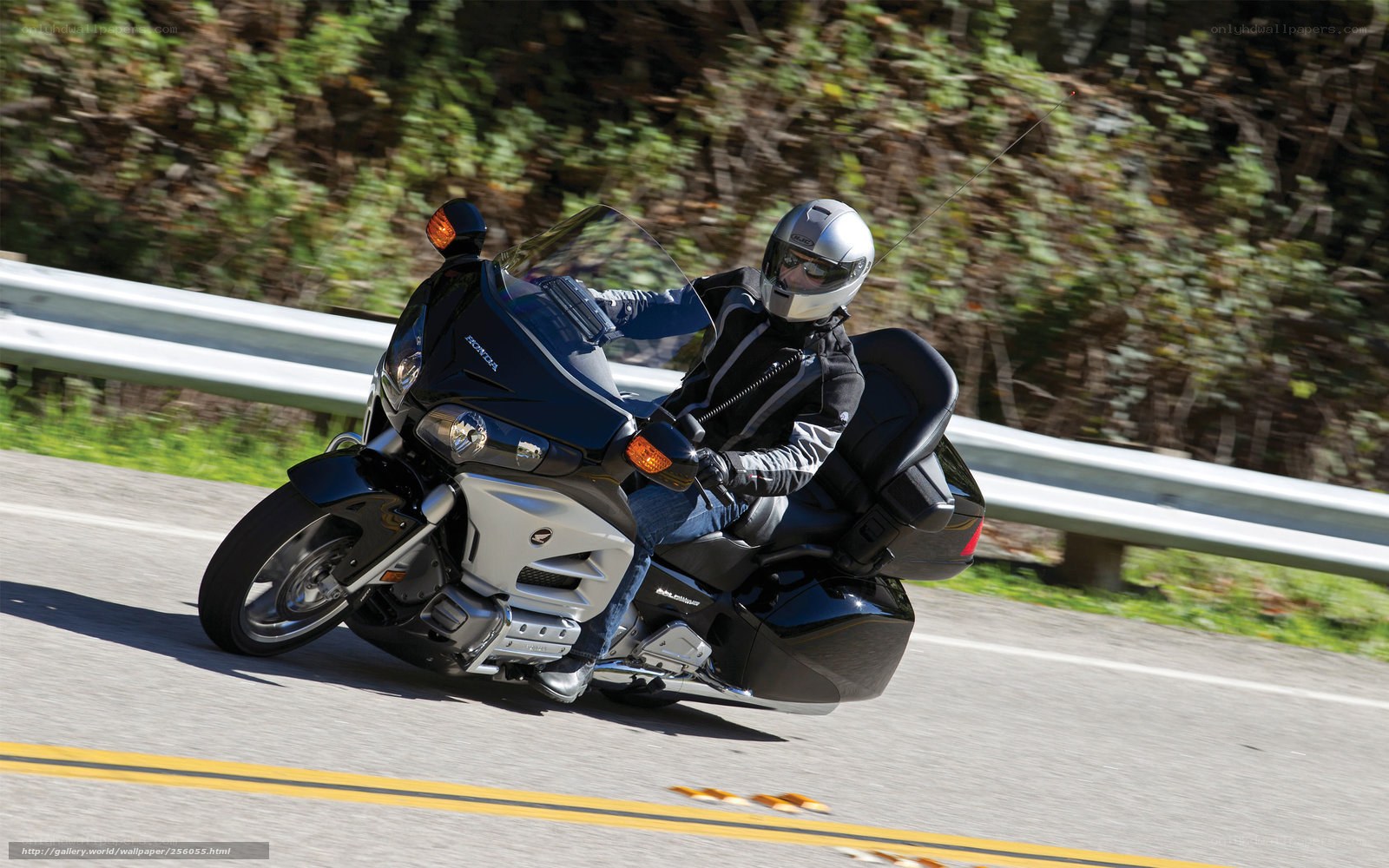motorcyclist riding on a road