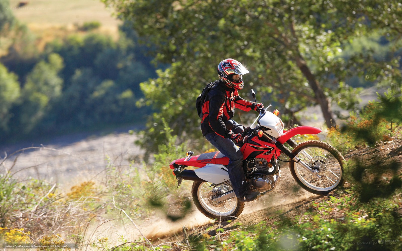Motorcyclist riding on dirt trail