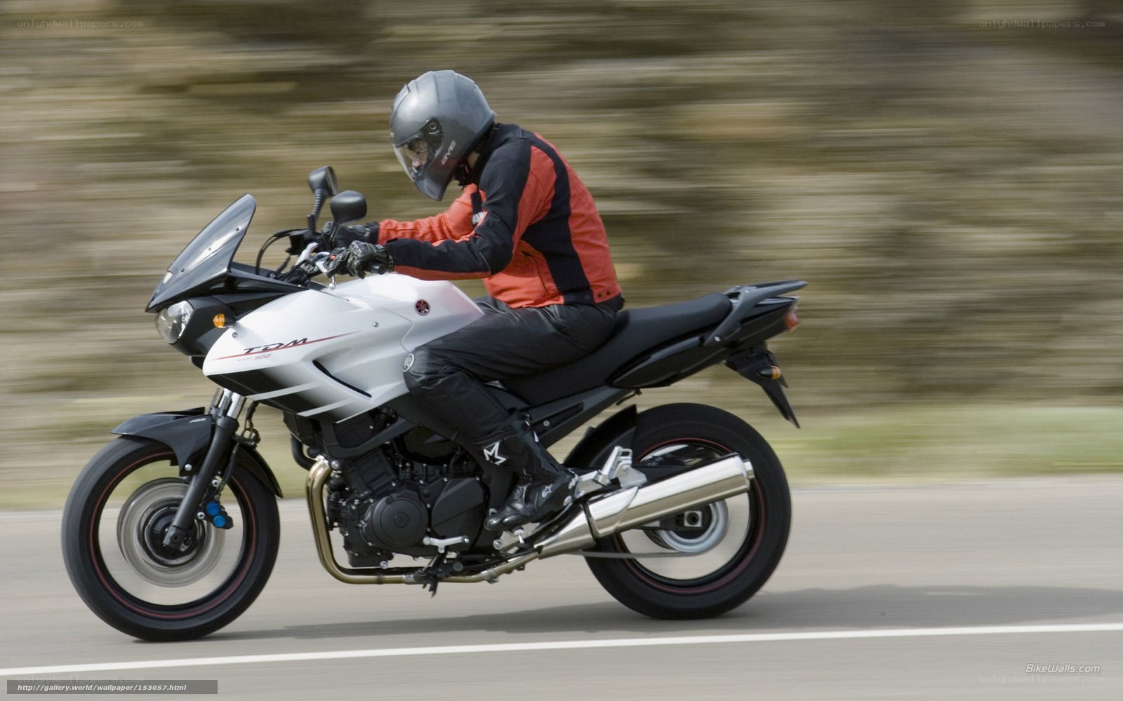 motorcyclist riding on road