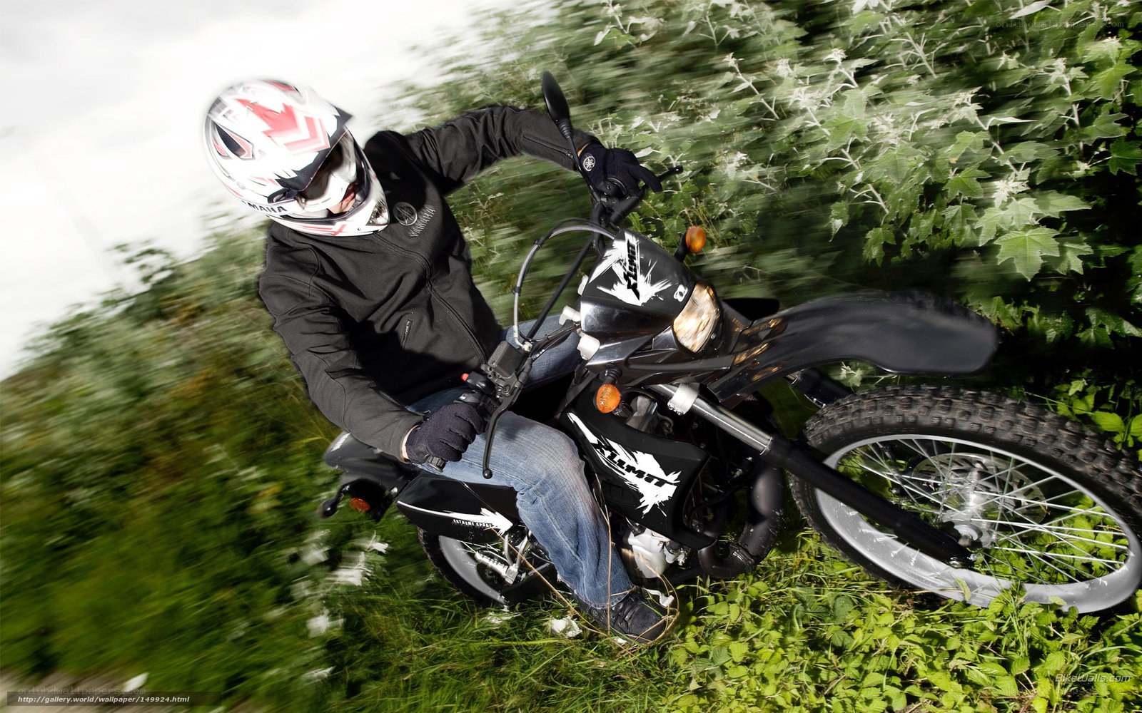 Motorcyclist riding through grass