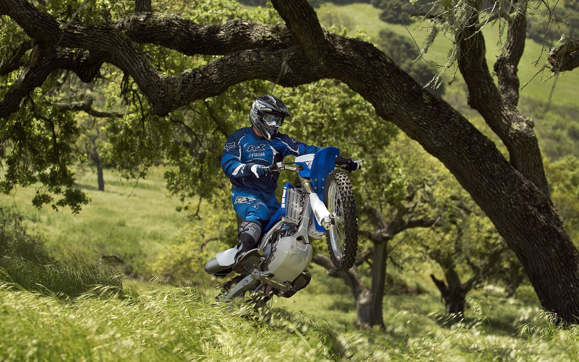 Motorcyclist riding through grassy field