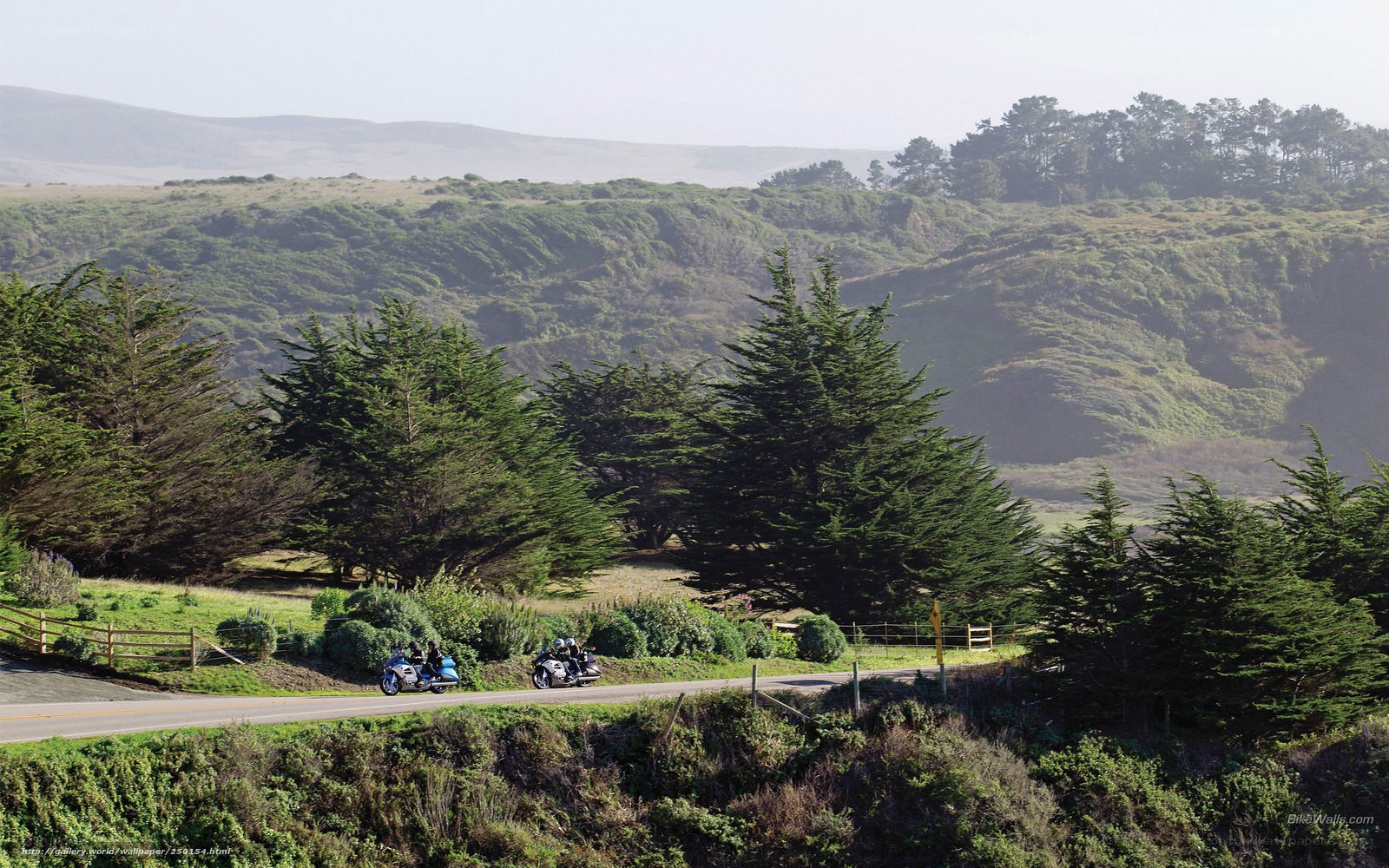Motorcyclists on a coastal road