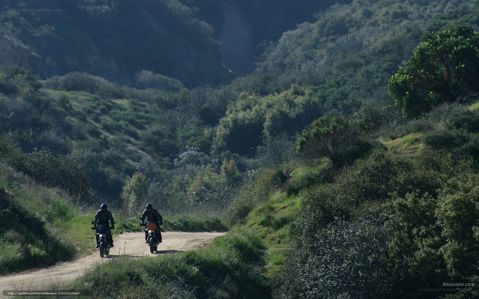 Motorcyclists on a dirt road