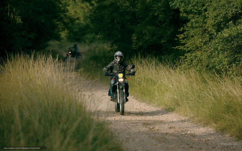 Motorcyclists on a forest path