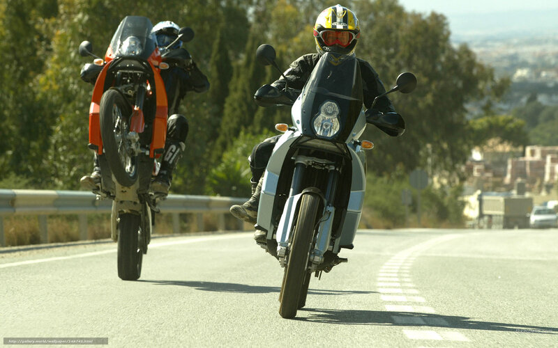 Motorcyclists on Road — Gray