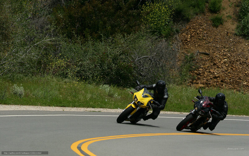 Motorcyclists on Road