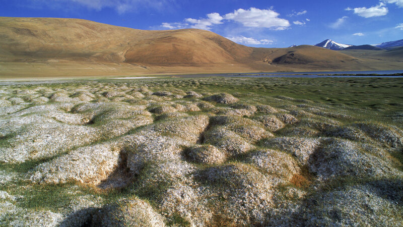 Mound Formations in Grassland
