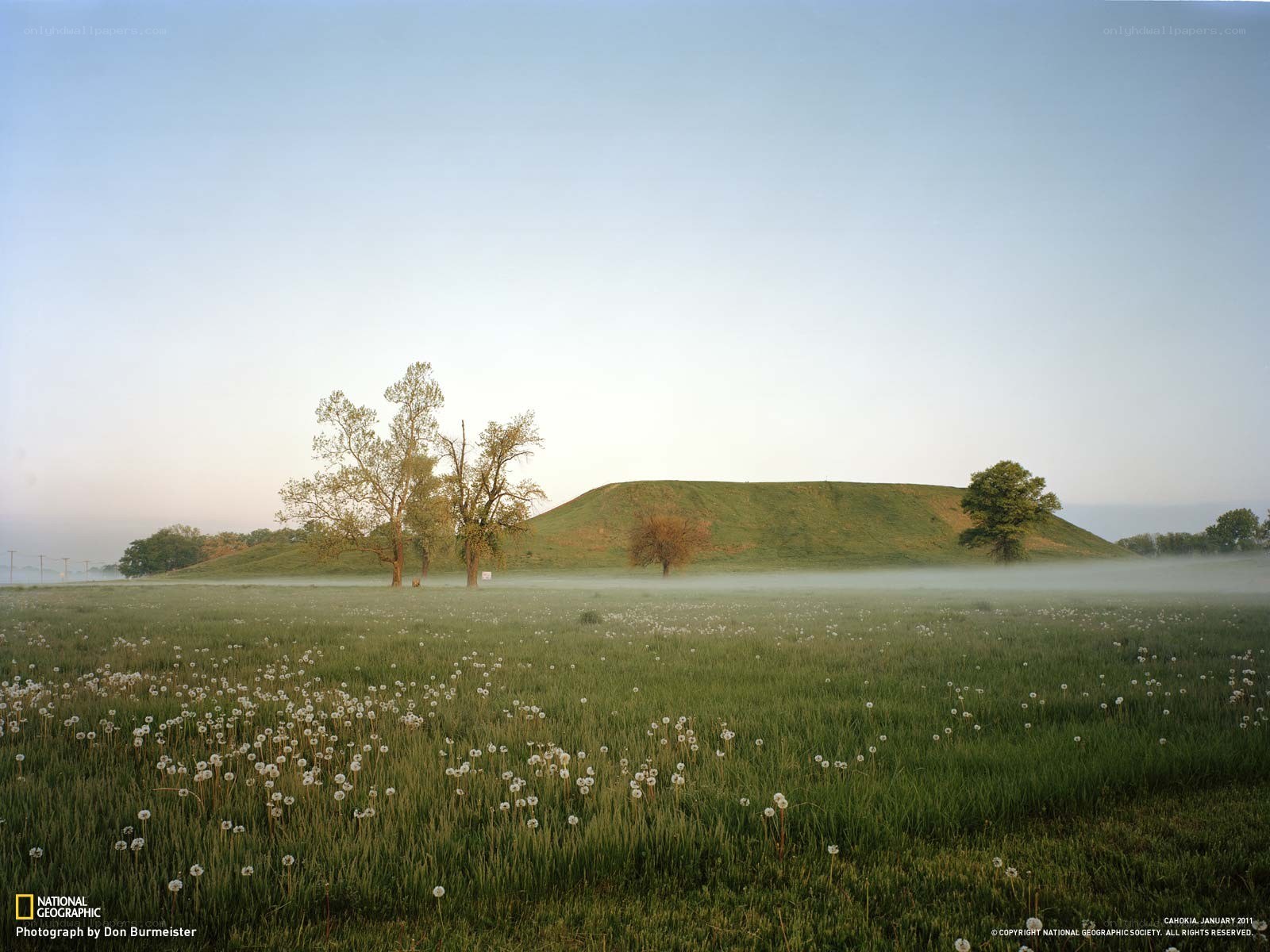 Mound in a misty field