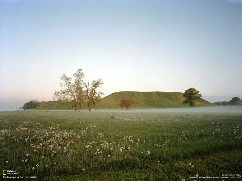 Mound in Foggy Field