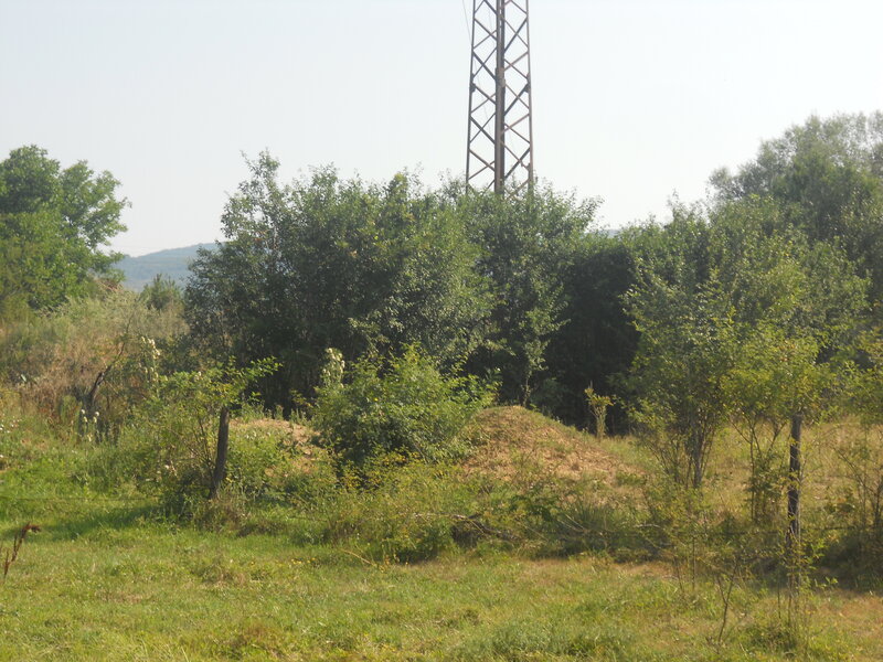 Mound in Grassy Field