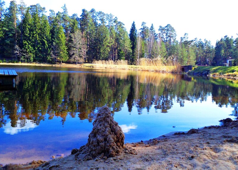 Mound of Mud on Shore