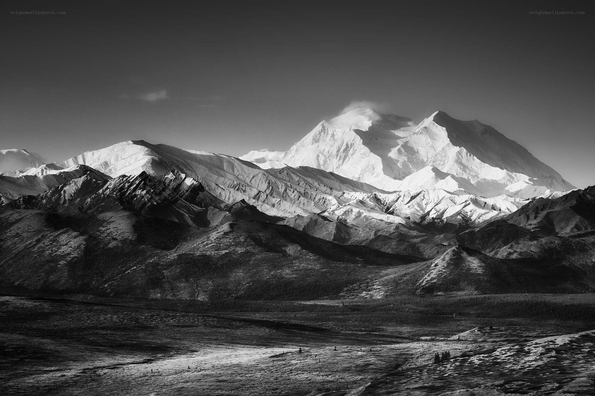 Mount Denali in black and white
