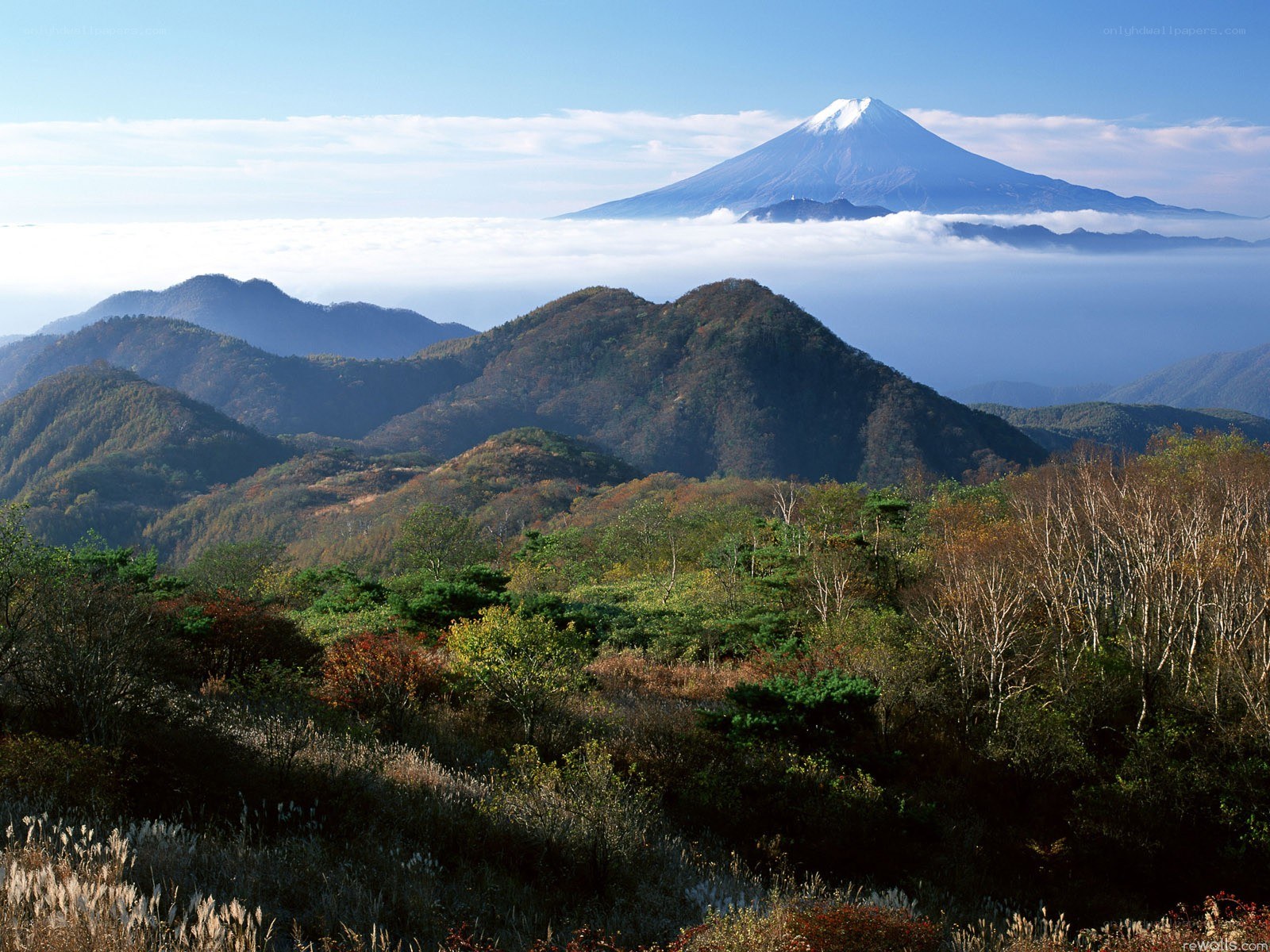 Mount Fuji above the clouds