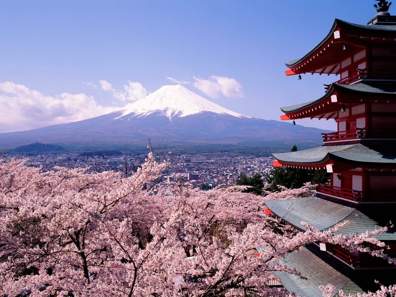 Mount Fuji and Cherry Blossoms — Pink, Serene, Spring, Photograph, Temple