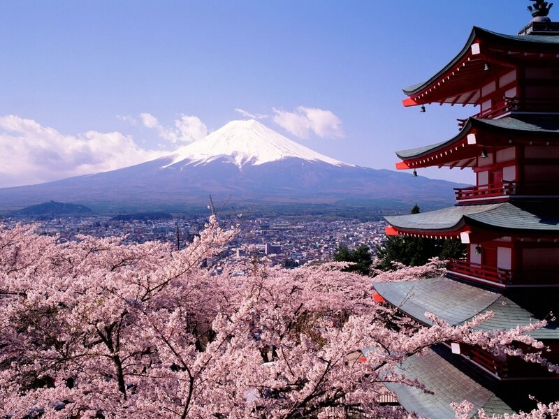 Mount Fuji and Cherry Blossoms