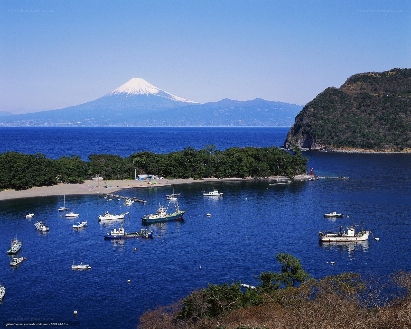 Mount Fuji and coastal harbor