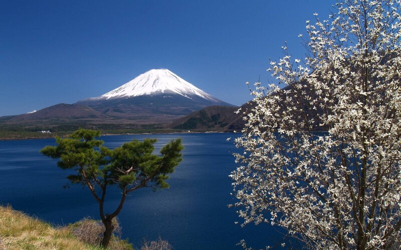 Mount Fuji and Lake — Blue, Serene, Spring