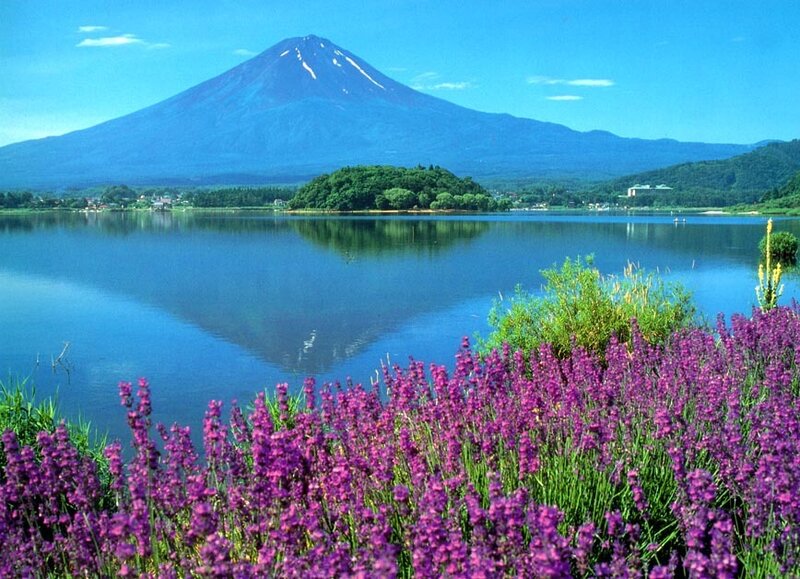 Mount Fuji and Lake