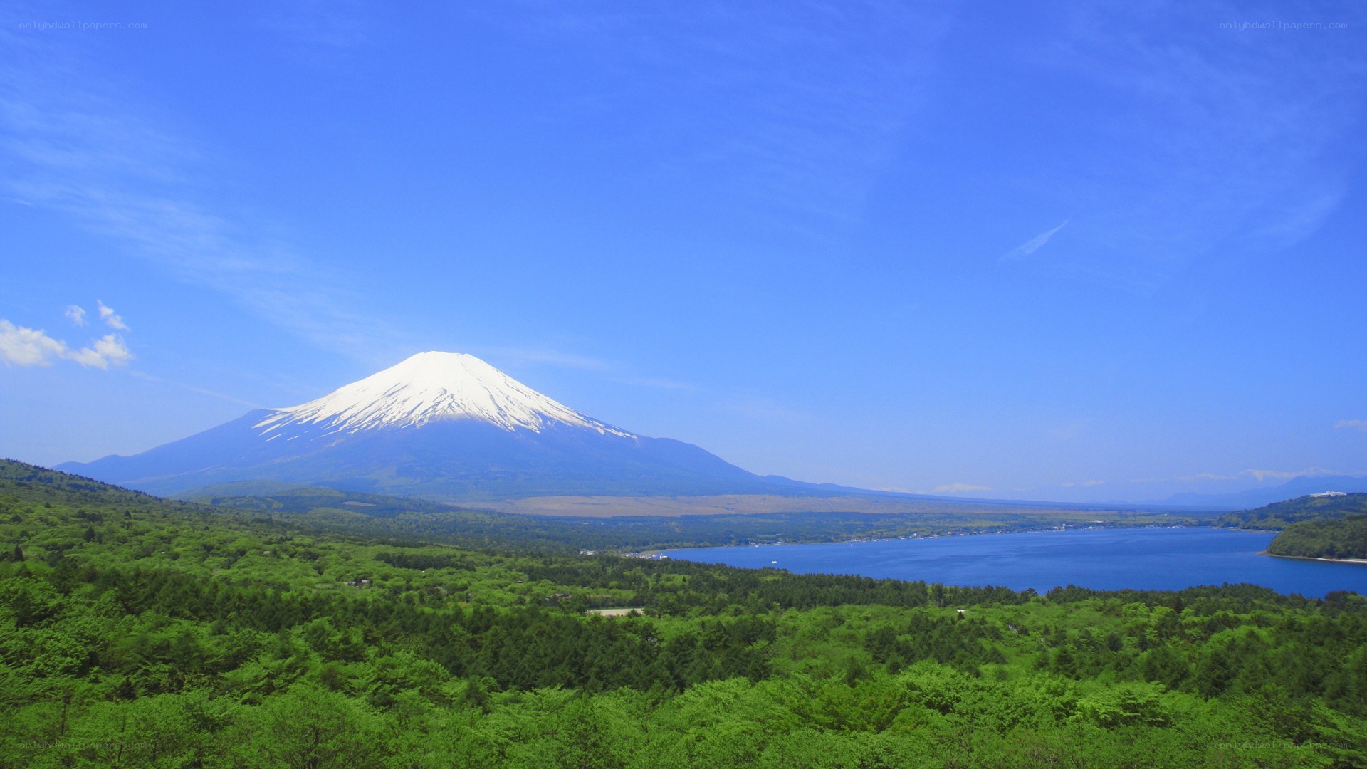 Mount Fuji and Lake Yamanaka