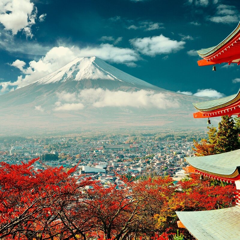 Mount Fuji and Town