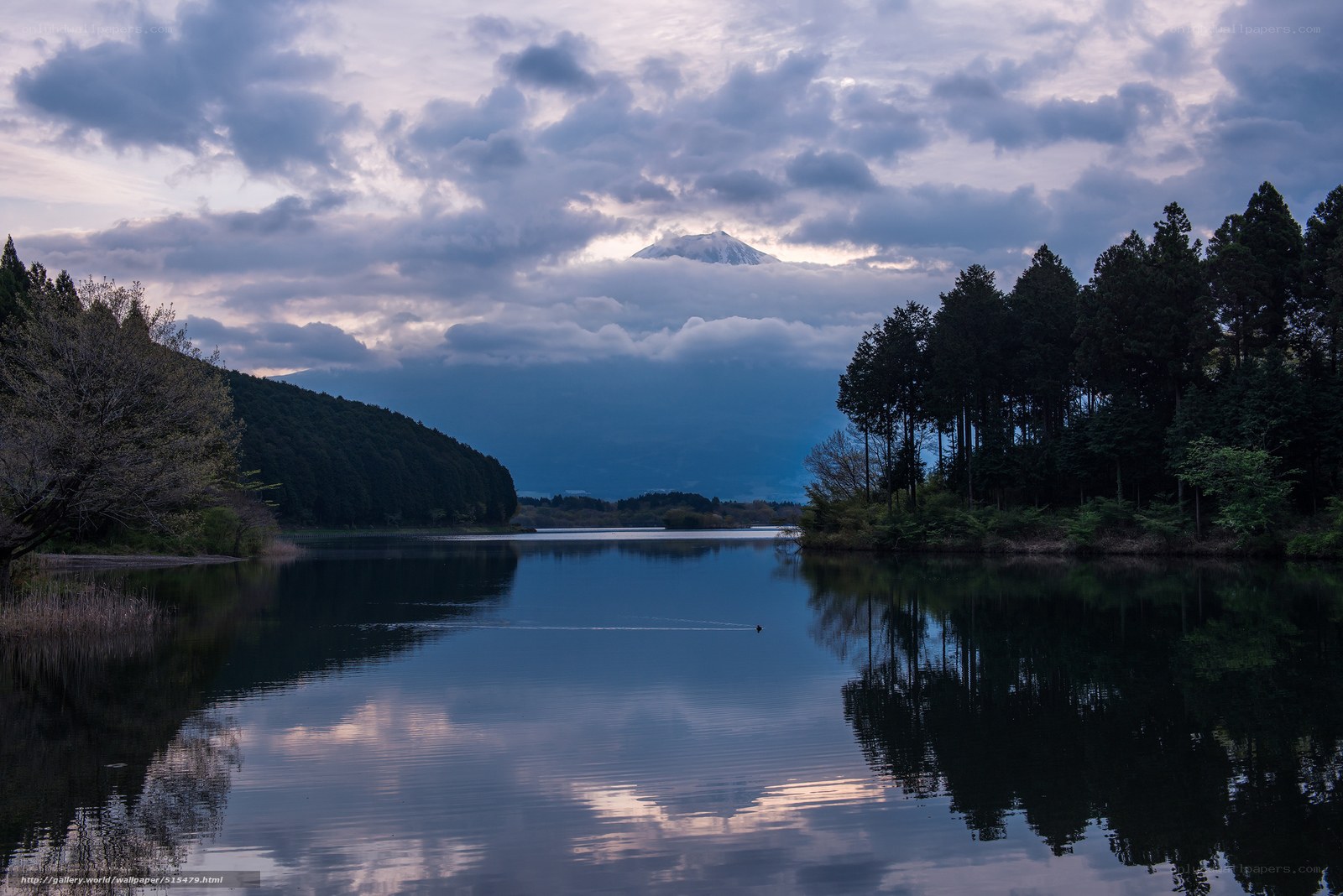 Mount Fuji at dawn over a lake